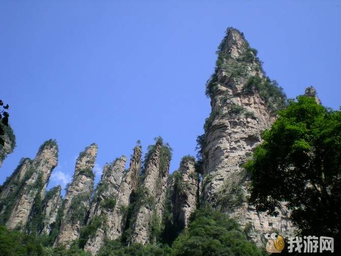 �����ж�.jpg