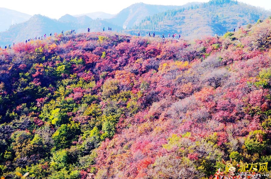 IMGP4223_����.jpg